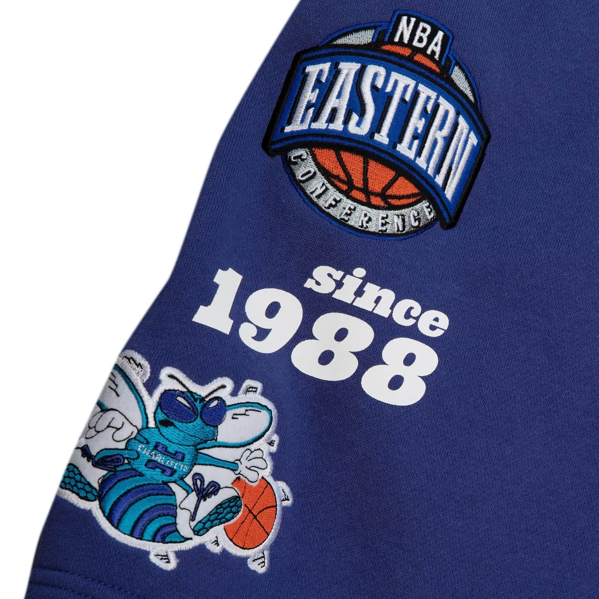 Спортивные шорты Mitchell & Ness Team Origins Fleece Short Charlotte Hornets Shorts