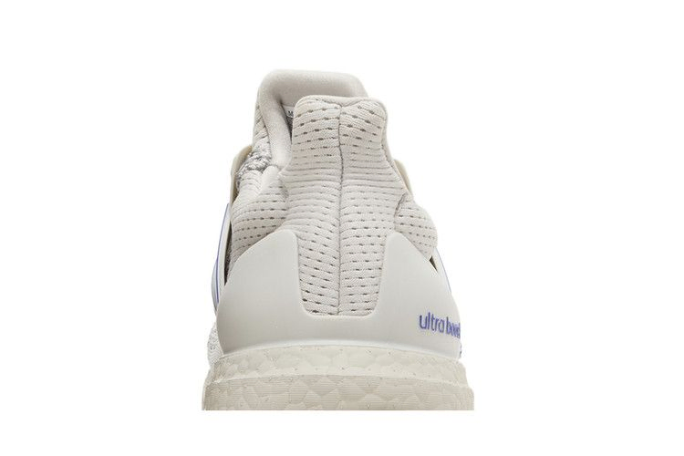 Кроссовки adidas UltraBoost 1.0 'Grey Lucid Blue'