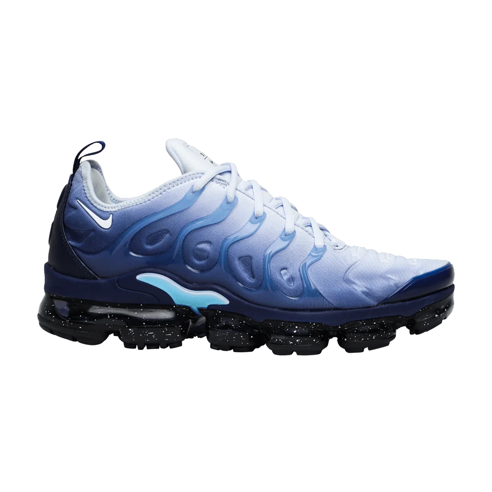 Кроссовки Nike Air VaporMax Plus 'Blizzard'