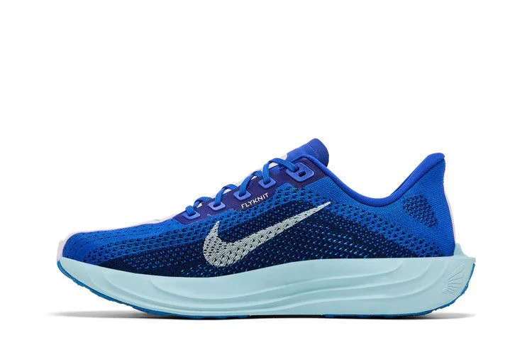Кроссовки Nike Pegasus Plus 'Racer Blue'