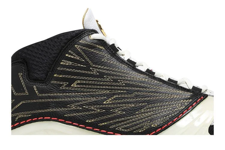 Кроссовки Titan x Air Jordan 23 Retro SP '10th Anniversary'