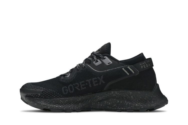 Кроссовки Nike Pegasus Trail 2 GTX 'Black Metallic Dark Grey'