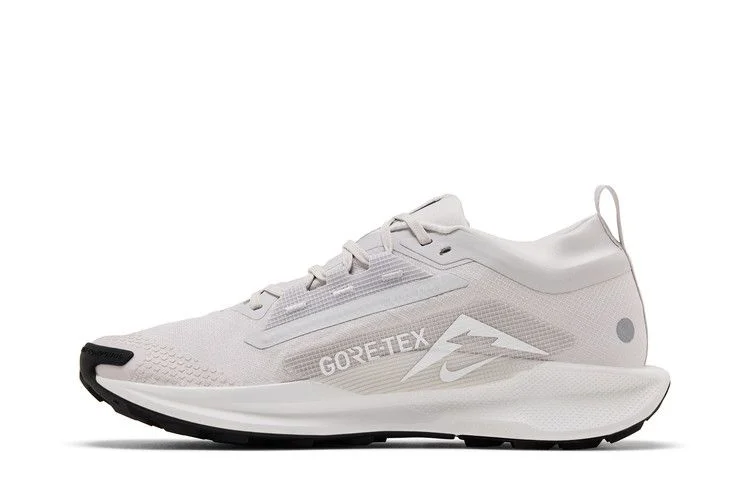 Krossovki-Nike-Pegasus-Trail-5-GORE-TEX-Vast-Grey-Sanddrift-2