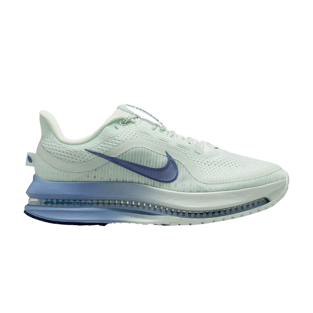 Кроссовки Nike Wmns Pegasus Premium 'Barely Green Work Blue'
