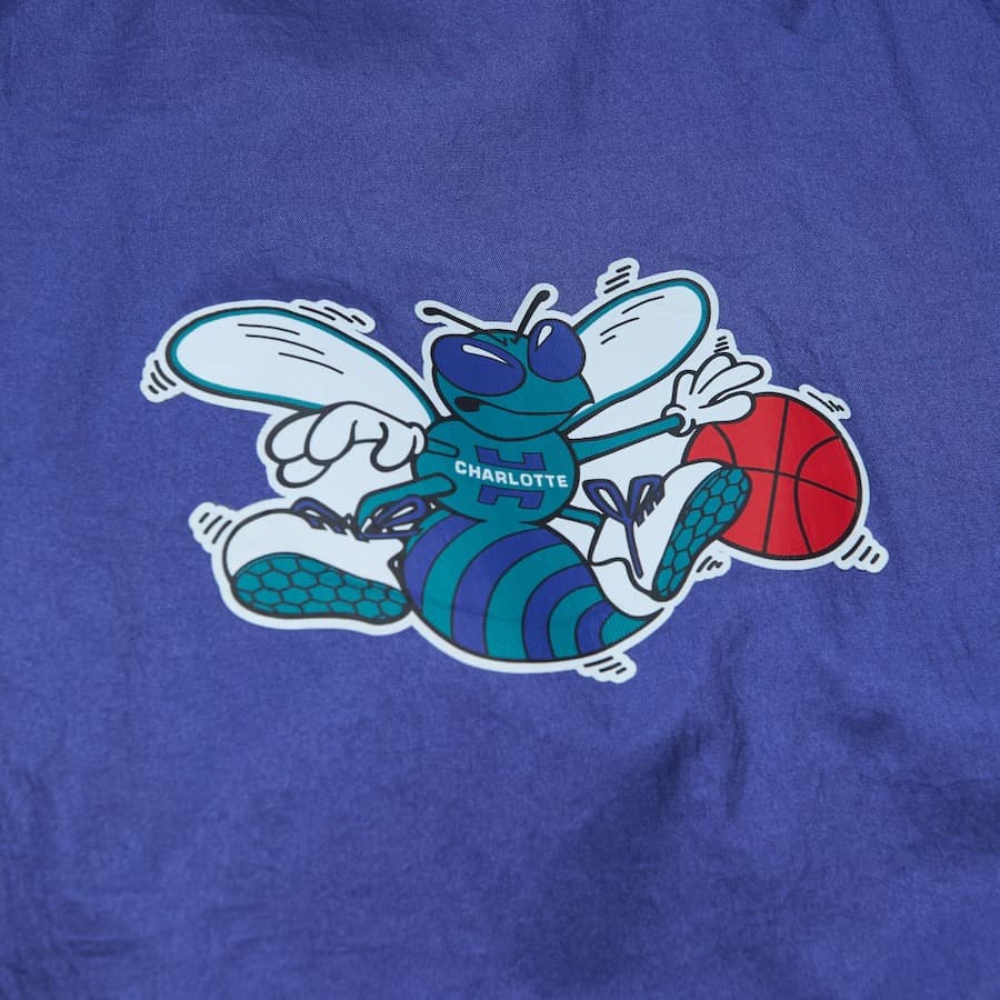 Анорак Mitchell & Ness Purple Charlotte Hornets Team 2.0 Anorak Quarter-Zip Windbreaker Jacket