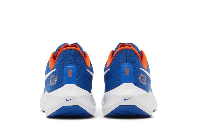 Кроссовки Nike Air Zoom Pegasus 39 'Florida Gators'