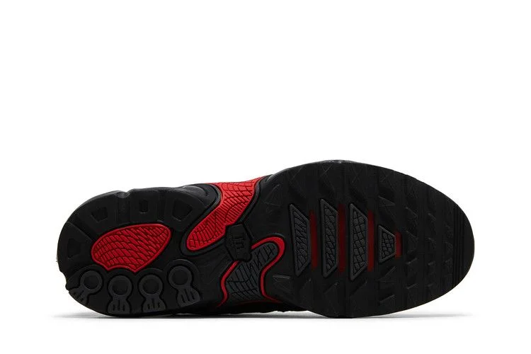 Кроссовки Nike Air Max Plus Drift GS 'Bred'