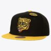 Mitchell-Ness-Black-Boston-Bruins-75th-Anniversary-Snapback-Hat-100x100