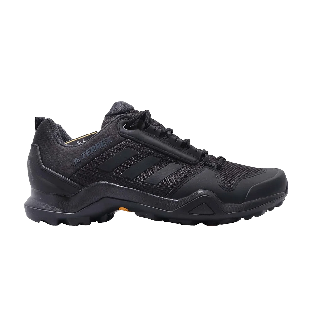 Кроссовки Adidas Terrex AX3 GTX 'Black'