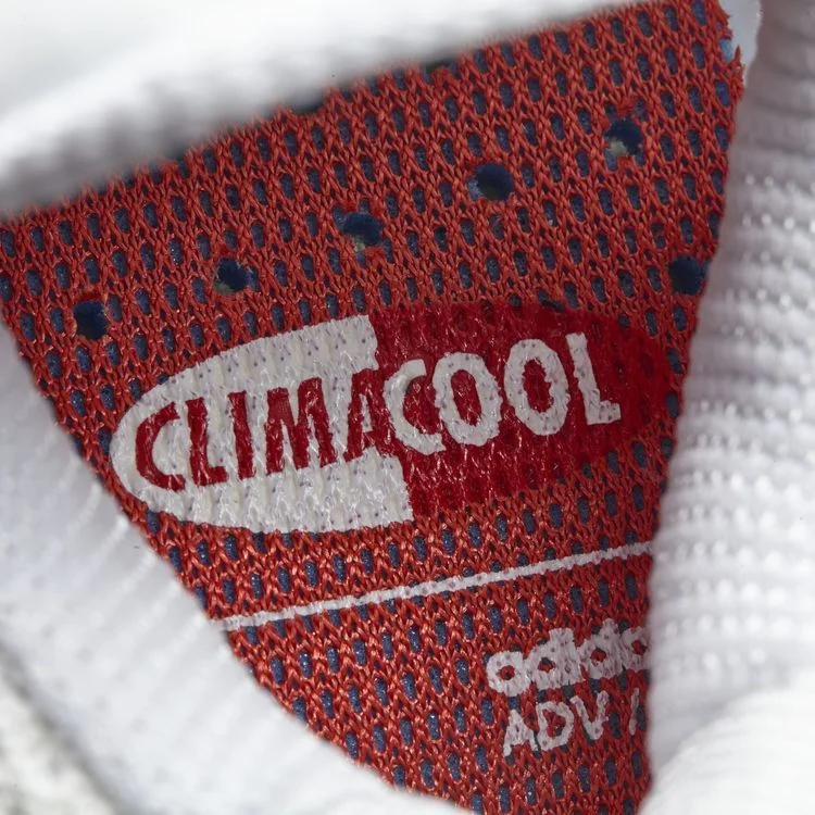 Krossovki-Adidas-ClimaCool-1-4-1