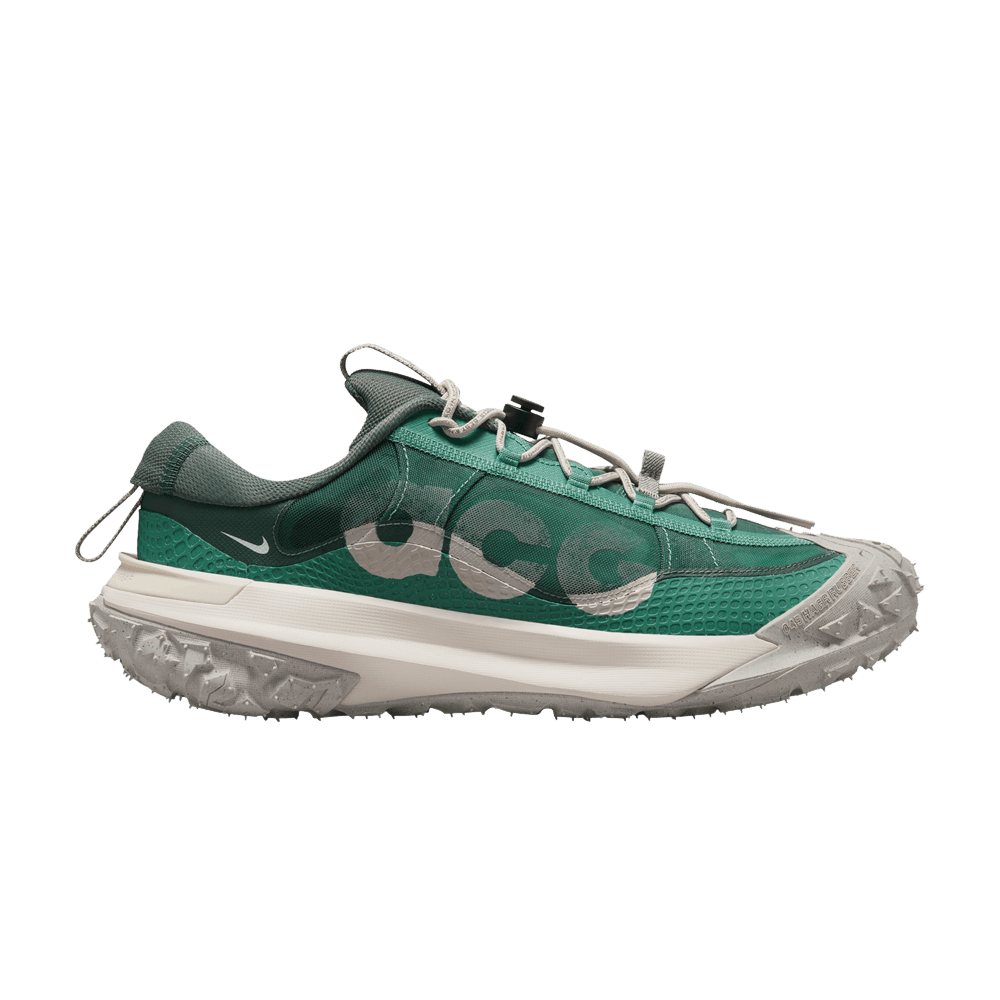 Кроссовки Nike ACG Mountain Fly Low 2 'Bicoastal'