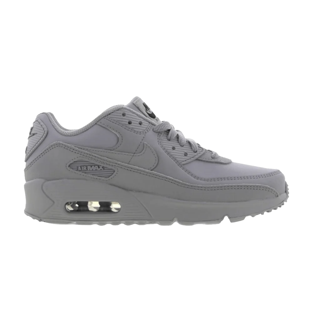 Krossovki-Nike-Air-Max-90-Leather-GS-Wolf-Grey