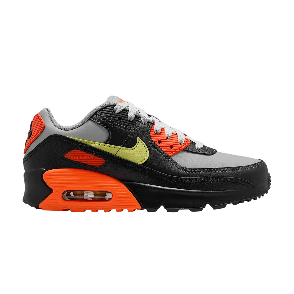 Кроссовки Nike Air Max 90 LTR GS 'Light Smoke Grey/Hyper Crimson/Black/Limelight'