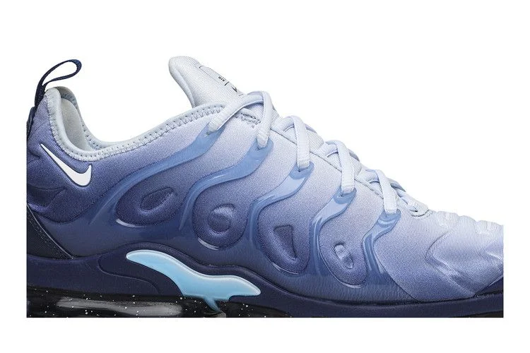 Кроссовки Nike Air VaporMax Plus 'Blizzard'