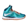 lebron-10-miami-dolphins-541100-302-100x100