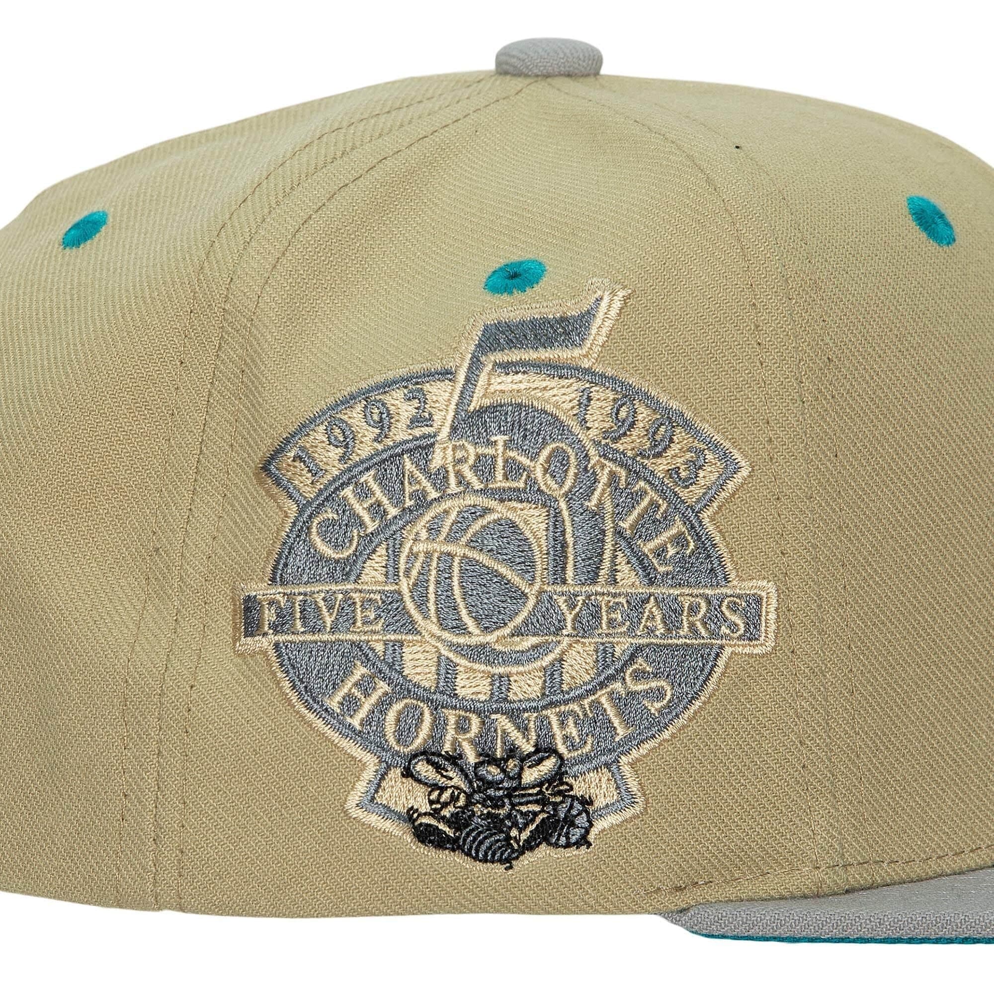 Бейсболка Mitchell & Ness Classic Canvas Snapback HWC Charlotte Hornets Hat