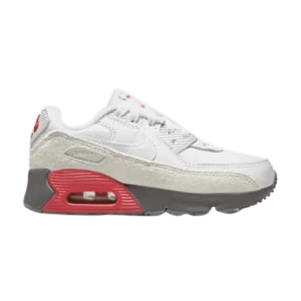 Krossovki-Nike-Air-Max-90-PS-White-Light-Silver-Flat-Pewter