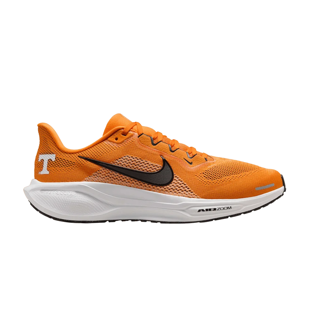 Krossovki-NCAA-x-Nike-Air-Zoom-Pegasus-41-Tennessee