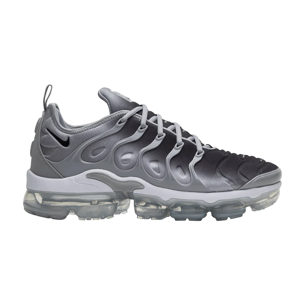 Krossovki-Nike-Air-VaporMax-Plus-Silver-Gradient