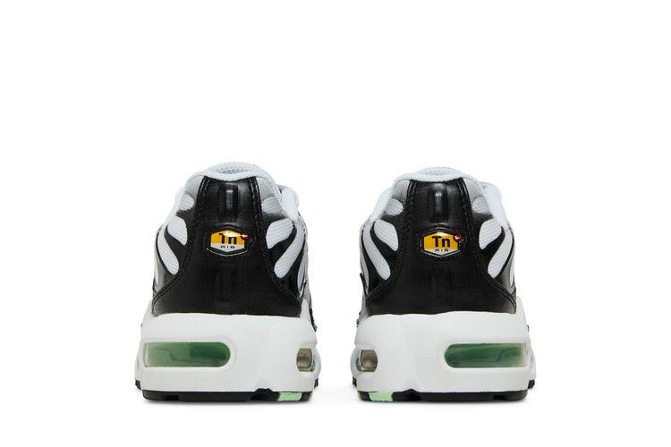 Кроссовки Nike Air Max Plus GS 'White Reflect Silver Fresh Mint'