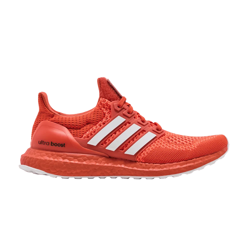 Krossovki-adidas-UltraBoost-1.0-NCAA-Pack-Miami
