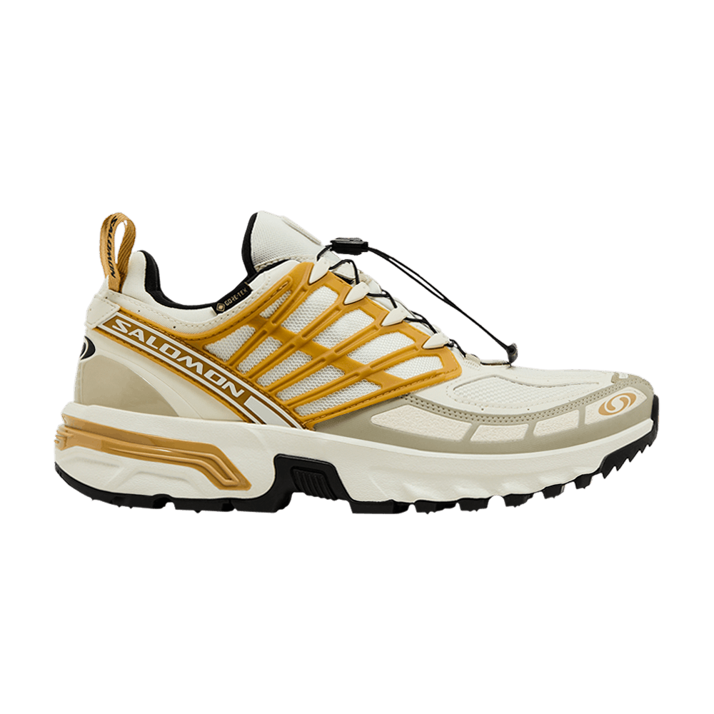 Кроссовки Salomon ACS Pro GORE-TEX 'Icicle Antelope'