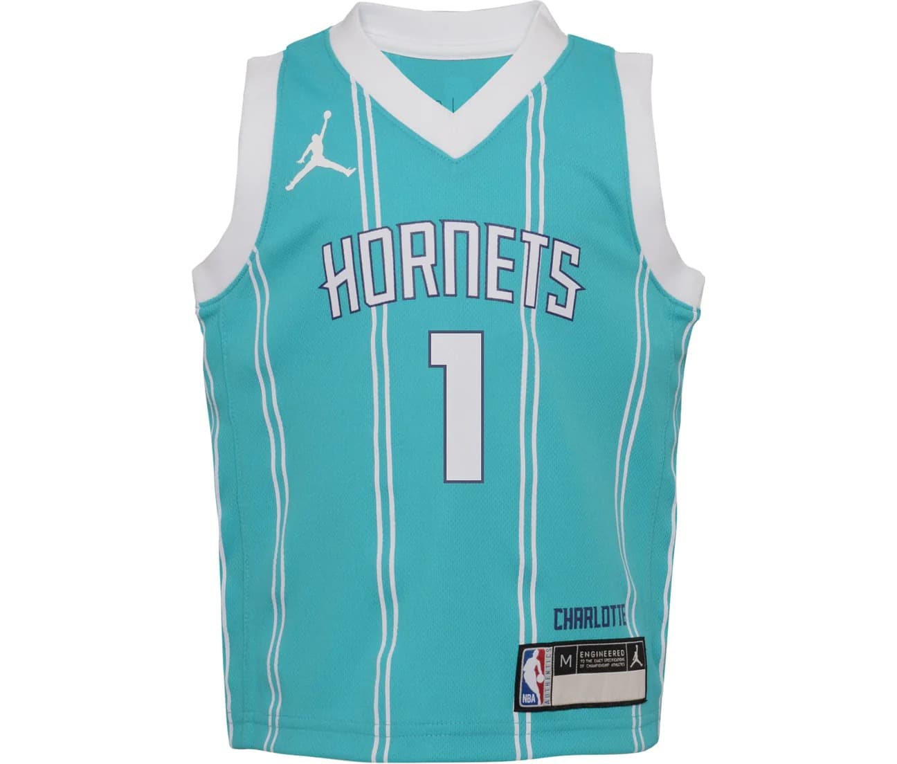 Баскетбольная джерси 2023-24 Charlotte Hornets LaMelo Ball #1 Boys Swingman Icon Edition Teal Jersey