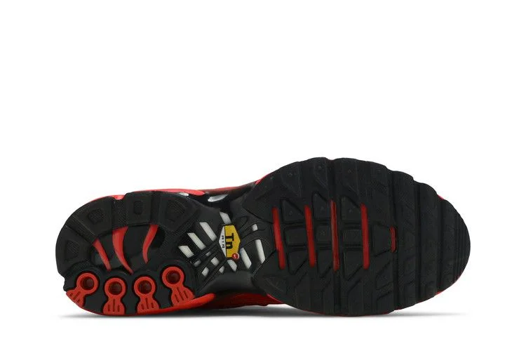 Кроссовки Nike Wmns Air Max Plus 'Light Crimson'