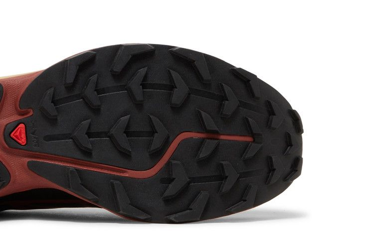 Кроссовки Salomon XT-6 'Black Chocolate Plum'