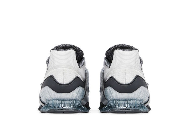 Кроссовки Nike Romaleos 4 SE 'Phantom Dust'