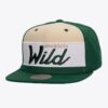 Mitchell-Ness-Green-Minnesota-Wild-Retro-Sport-Snapback-Hat-100x100
