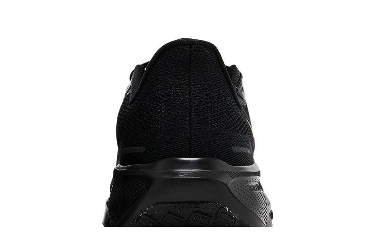 Кроссовки Nike Air Zoom Pegasus 41 'Black Anthracite'
