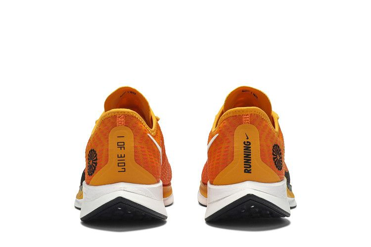 zoom-pegasus-turbo-2-blue-ribbon-sports-ck9661-800_05