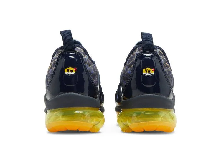 Кроссовки Nike Air VaporMax Plus 'Indigo Storm'