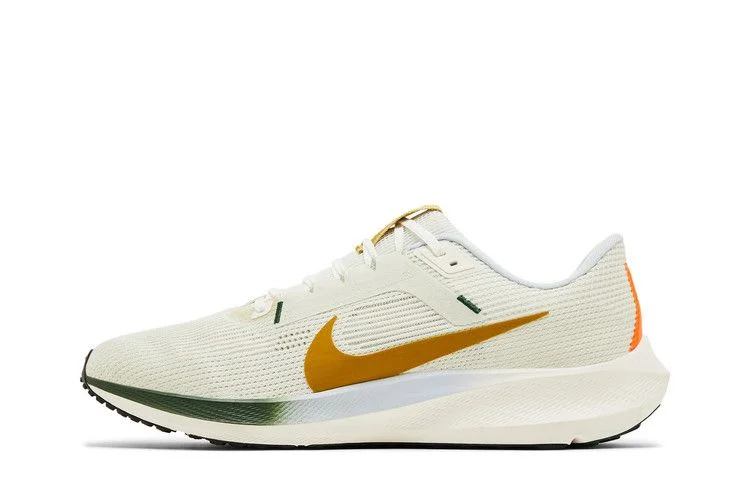 Кроссовки Nike Air Zoom Pegasus 40 'Wildflowers'