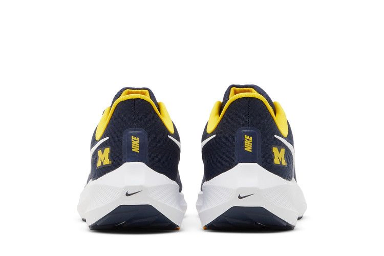 Кроссовки Nike Air Zoom Pegasus 39 'Michigan'