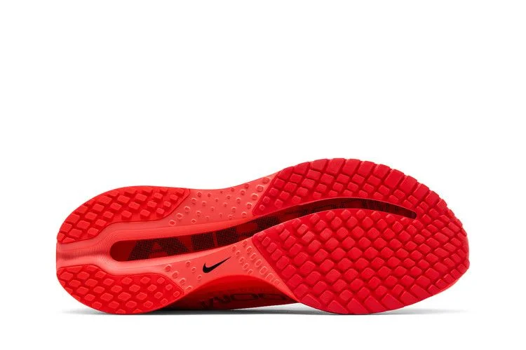 Кроссовки Nike Pegasus Premium 'Light Crimson'