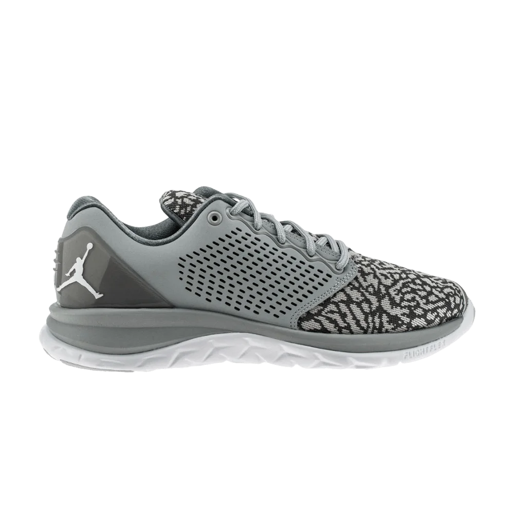 Krossovki-Air-Jordan-Trainer-ST-Wolf-Grey