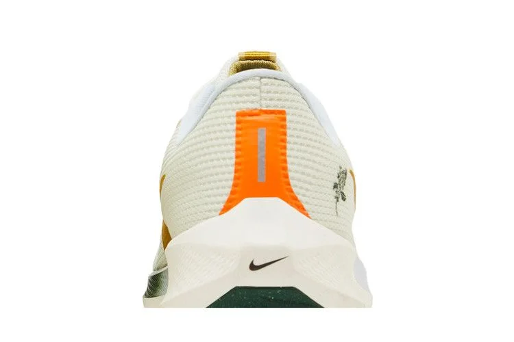 Кроссовки Nike Air Zoom Pegasus 40 'Wildflowers'