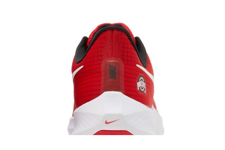 Кроссовки Nike Air Zoom Pegasus 39 'Ohio State'