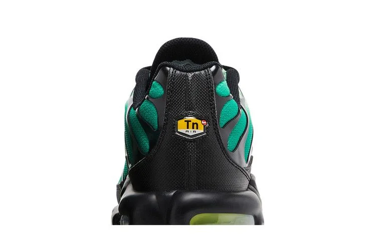 Кроссовки Nike Air Max Plus 'Vapor Green Gradient'