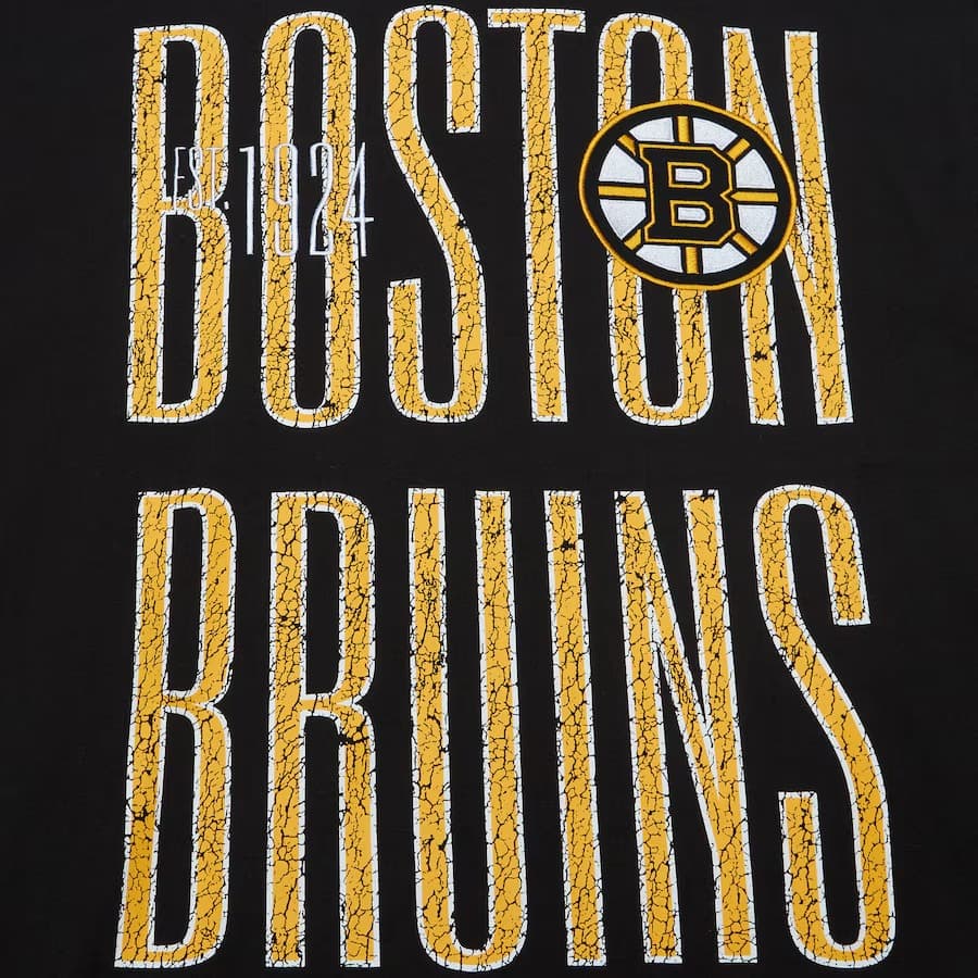 Футболка Mitchell & Ness Black Boston Bruins Team OG Premium T-Shirt