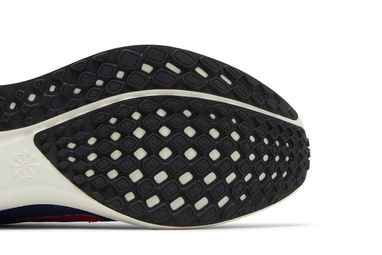 Кроссовки Nike Air Zoom Pegasus 41 'Astronomy Blue'