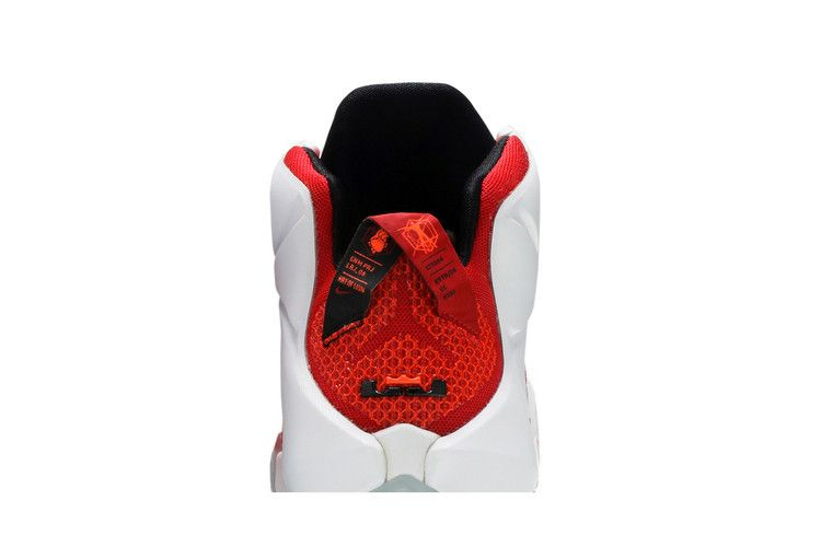 Кроссовки Nike LeBron 12 'Heart Of A Lion'