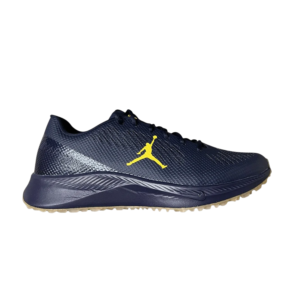 Krossovki-Air-Jordan-Vapor-Edge-TF-SMU-Michigan-Wolverines