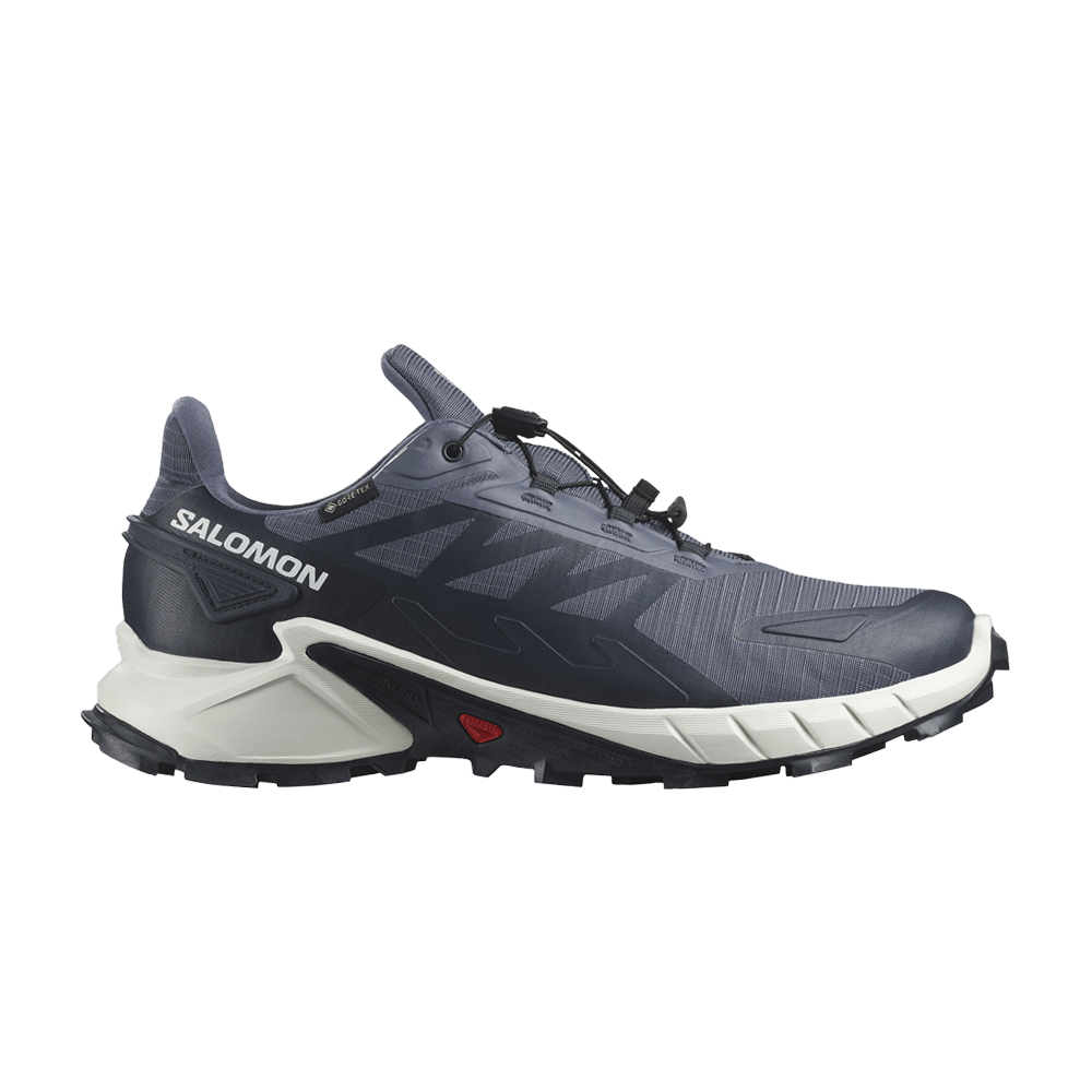 Кроссовки Salomon Supercross 4 GORE-TEX 'Grisaille Carbon'