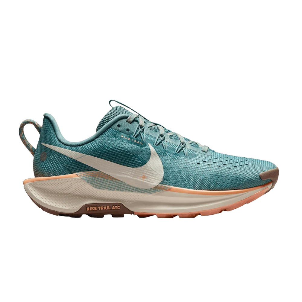 Кроссовки Nike Wmns Pegasus Trail 5 'Cannon'