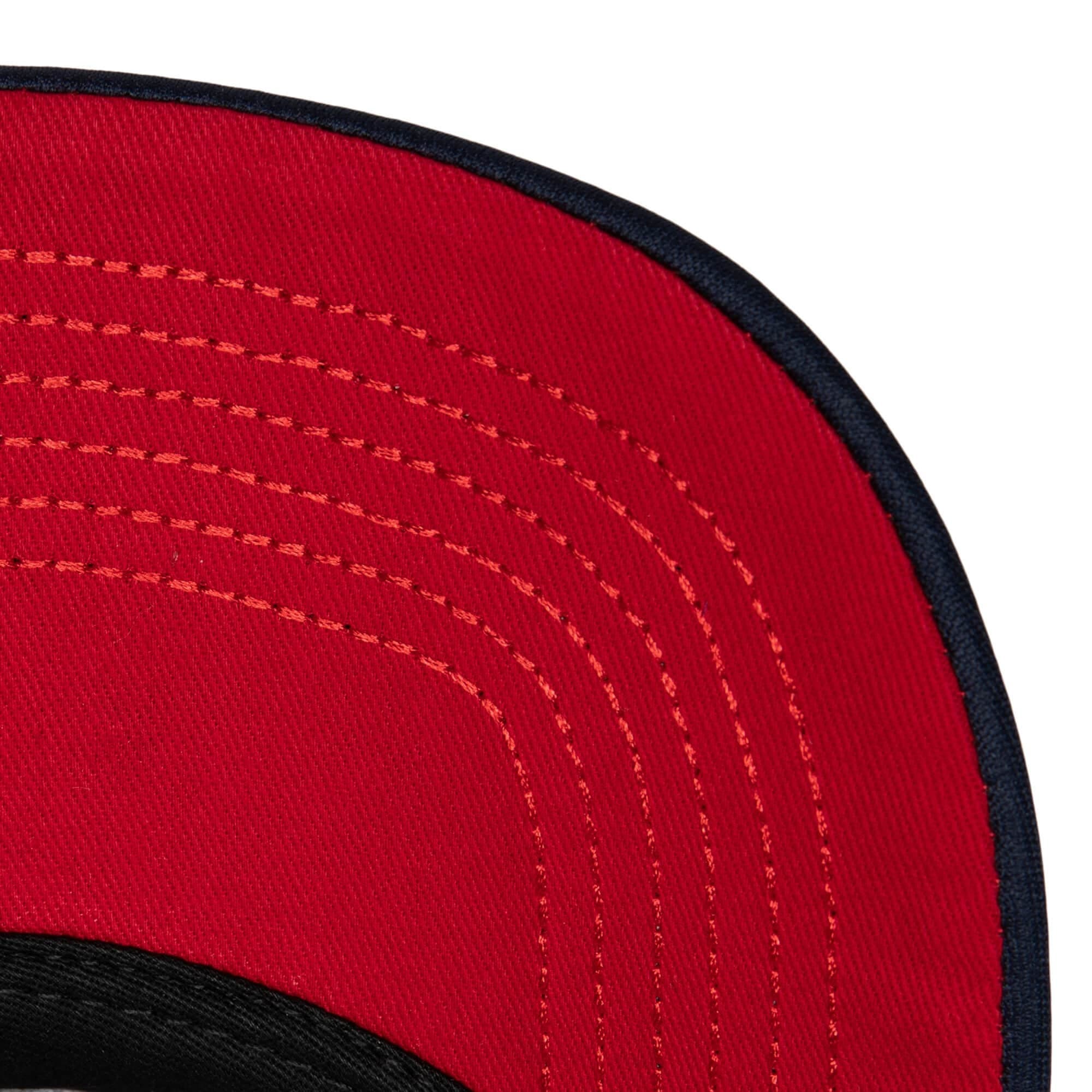 Бейсболка Mitchell & Ness Puff The Magic Trucker Snapback HWC New Jersey Nets