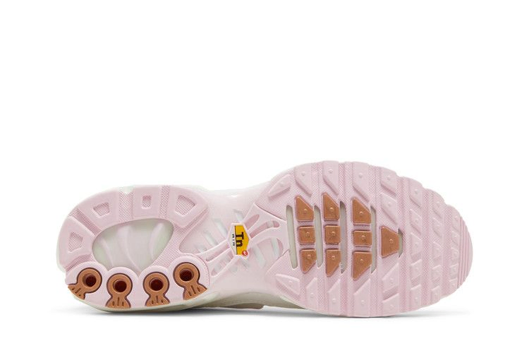 Кроссовки Nike Wmns Air Max Plus 'Vast Grey Metallic Copper'