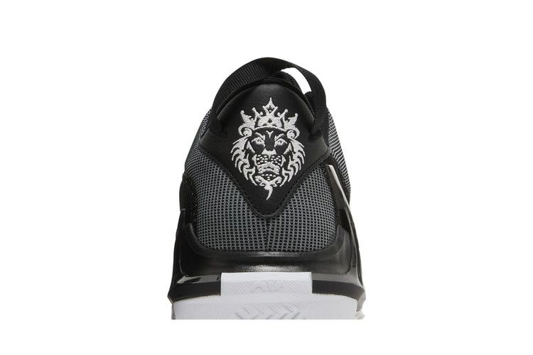 lebron-witness-7-tb-black-white-dz3299-001_06